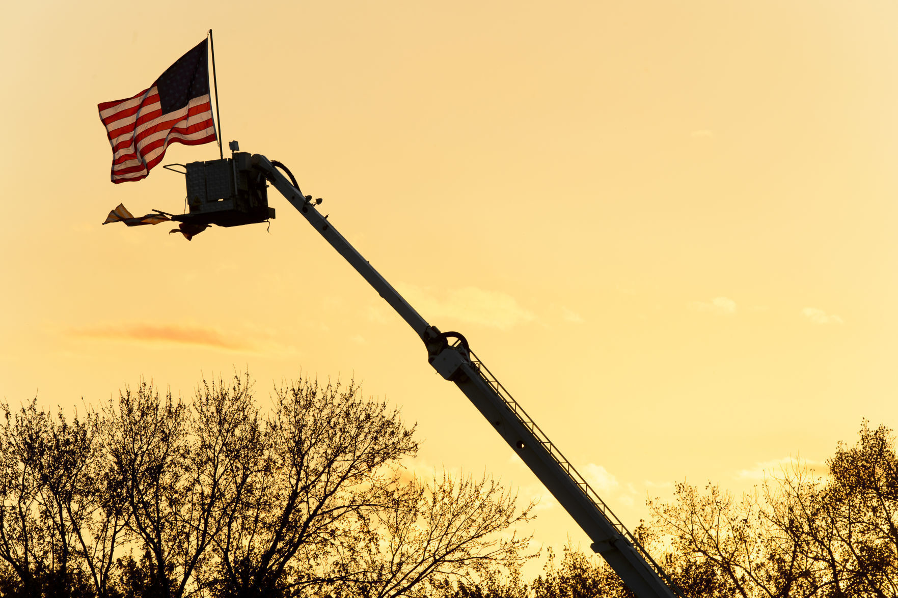 Patriot Flag for Election
